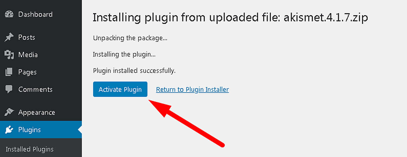 To activate your new plugin just click on activate plugin.
